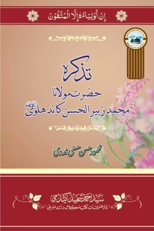 Tazkirah-Mawlana Zubair Kandhlawi (R.A.) - تذکرہ حضرت مولانا محمدزبیر الحسن کاندھلویؒ